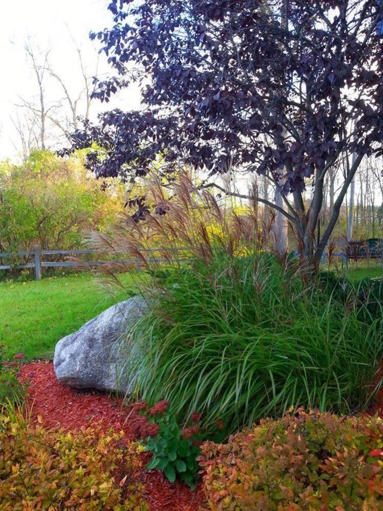 Stone Waters Inn Bellaire Buitenkant foto